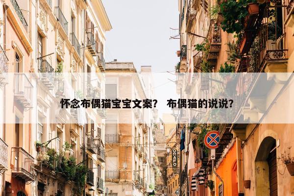 怀念布偶猫宝宝文案？ 布偶猫的说说？