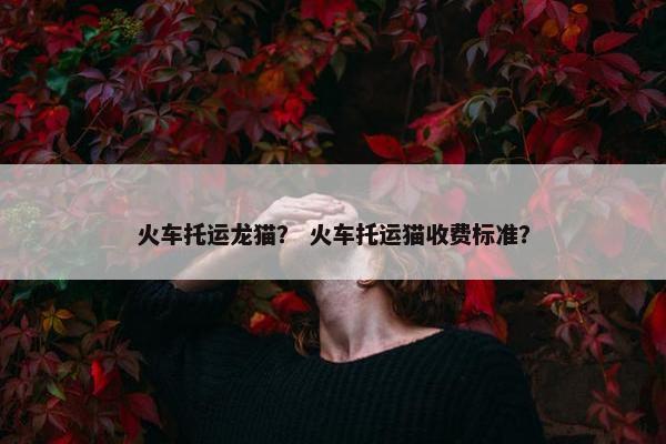 火车托运龙猫？ 火车托运猫收费标准？