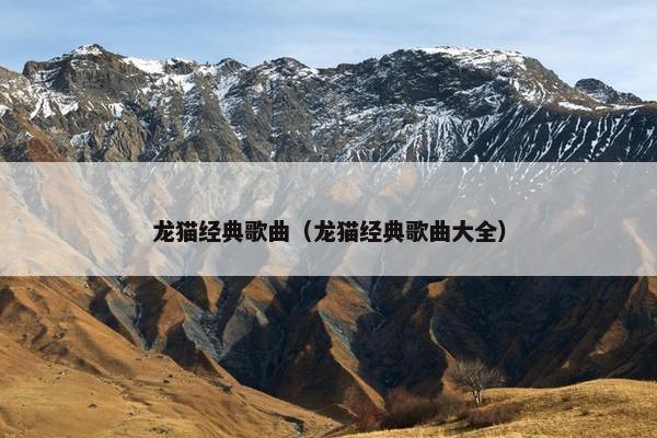 龙猫经典歌曲（龙猫经典歌曲大全）