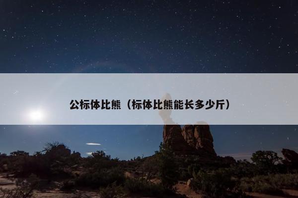公标体比熊（标体比熊能长多少斤）