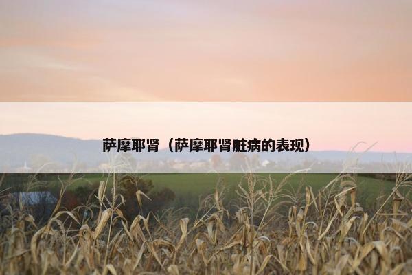 萨摩耶肾（萨摩耶肾脏病的表现）
