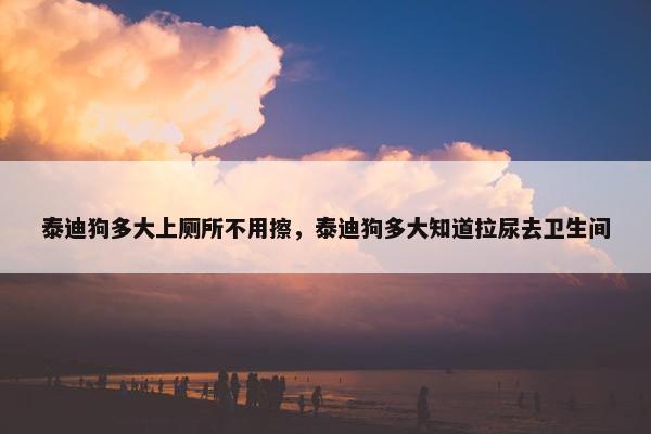 泰迪狗多大上厕所不用擦，泰迪狗多大知道拉尿去卫生间