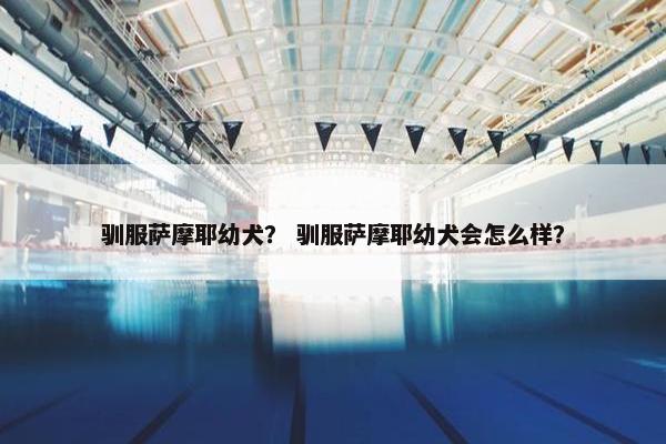 驯服萨摩耶幼犬？ 驯服萨摩耶幼犬会怎么样？