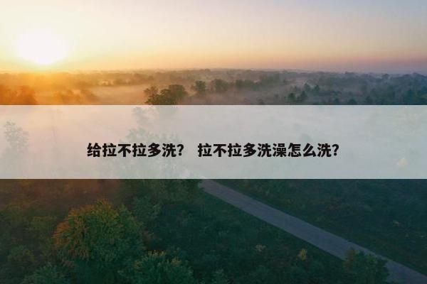 给拉不拉多洗？ 拉不拉多洗澡怎么洗？