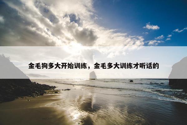 金毛狗多大开始训练，金毛多大训练才听话的