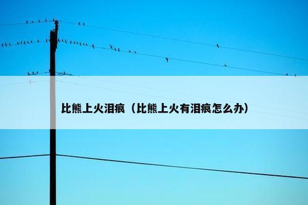 比熊上火泪痕（比熊上火有泪痕怎么办）