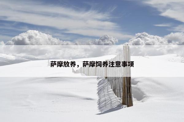 萨摩放养，萨摩饲养注意事项