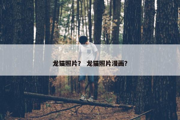 龙猫照片？ 龙猫照片漫画？