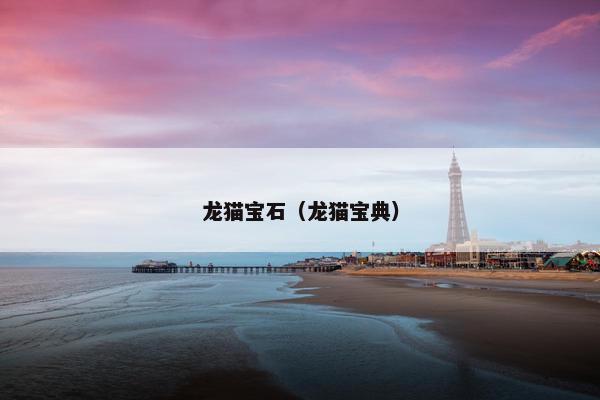 龙猫宝石（龙猫宝典）
