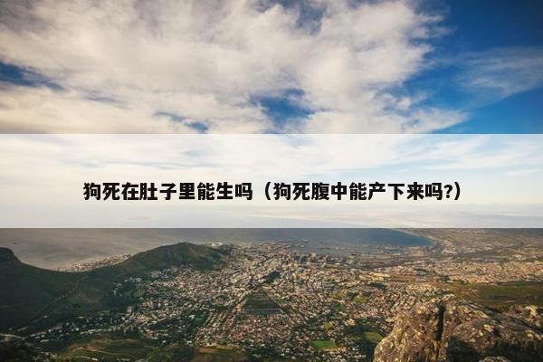 狗死在肚子里能生吗（狗死腹中能产下来吗?）