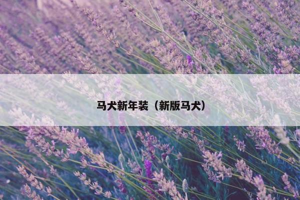 马犬新年装（新版马犬）