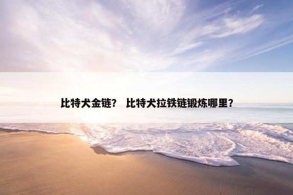 比特犬金链？ 比特犬拉铁链锻炼哪里？