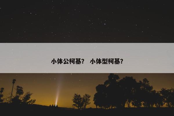 小体公柯基？ 小体型柯基？