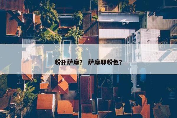 粉扑萨摩？ 萨摩耶粉色？
