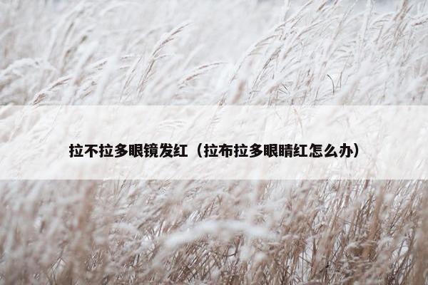 拉不拉多眼镜发红（拉布拉多眼睛红怎么办）