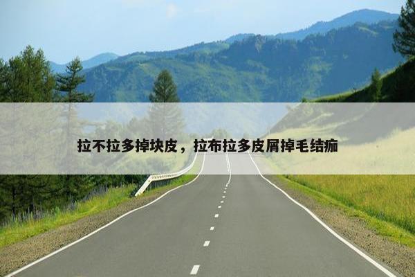 拉不拉多掉块皮，拉布拉多皮屑掉毛结痂