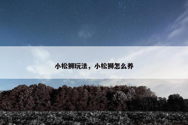 小松狮玩法，小松狮怎么养