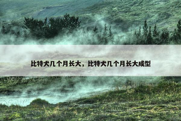 比特犬几个月长大，比特犬几个月长大成型