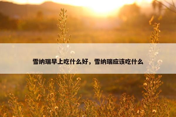 雪纳瑞早上吃什么好，雪纳瑞应该吃什么