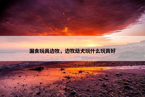 漏食玩具边牧，边牧幼犬玩什么玩具好