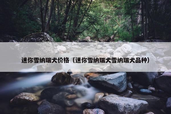 迷你雪纳瑞犬价格（迷你雪纳瑞犬雪纳瑞犬品种）