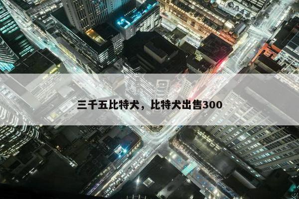 三千五比特犬，比特犬出售300