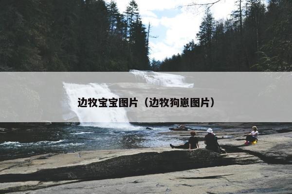 边牧宝宝图片（边牧狗崽图片）