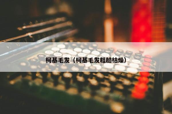柯基毛发（柯基毛发粗糙枯燥）
