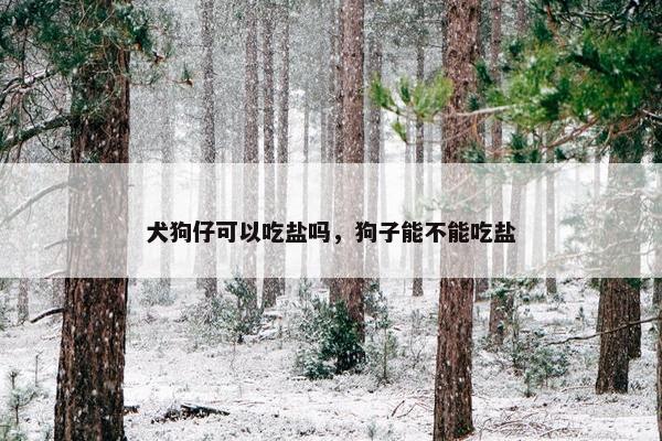 犬狗仔可以吃盐吗，狗子能不能吃盐