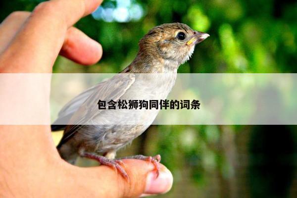 包含松狮狗同伴的词条
