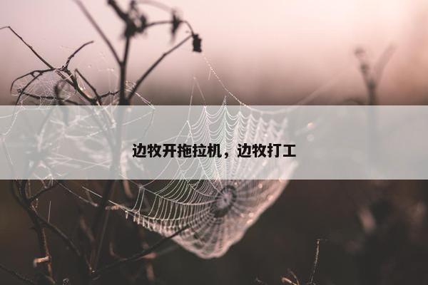 边牧开拖拉机，边牧打工