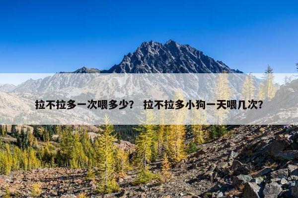 拉不拉多一次喂多少？ 拉不拉多小狗一天喂几次？
