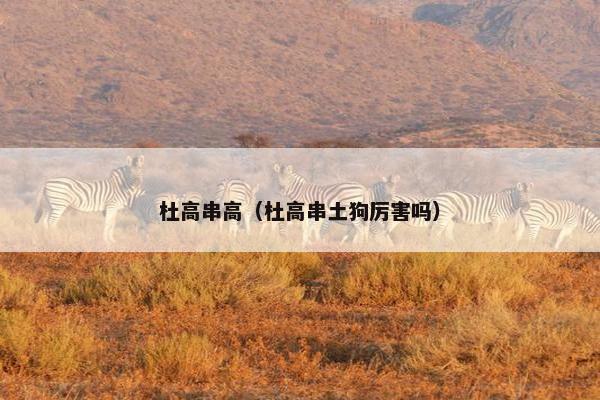 杜高串高（杜高串土狗厉害吗）