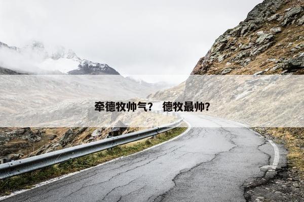 牵德牧帅气？ 德牧最帅？