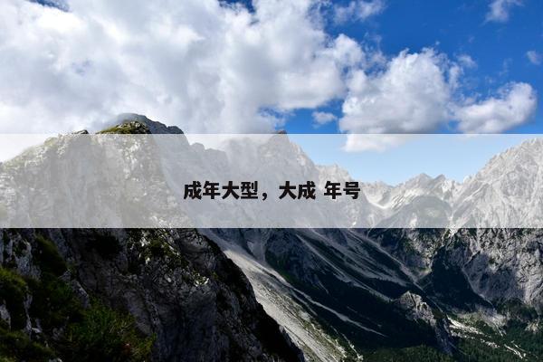 成年大型，大成 年号