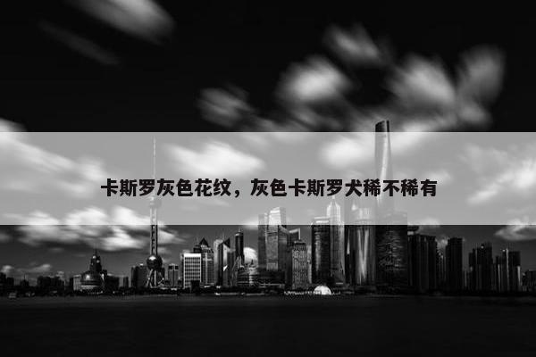 卡斯罗灰色花纹，灰色卡斯罗犬稀不稀有