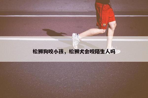 松狮狗咬小孩，松狮犬会咬陌生人吗