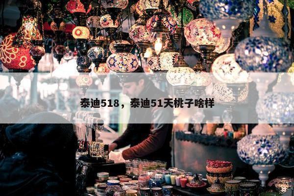 泰迪518，泰迪51天桃子啥样