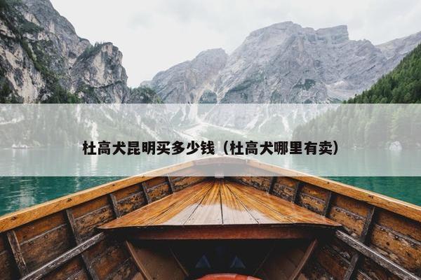 杜高犬昆明买多少钱（杜高犬哪里有卖）