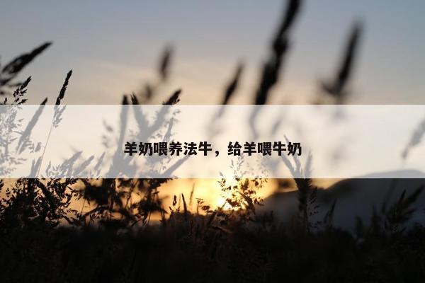 羊奶喂养法牛，给羊喂牛奶