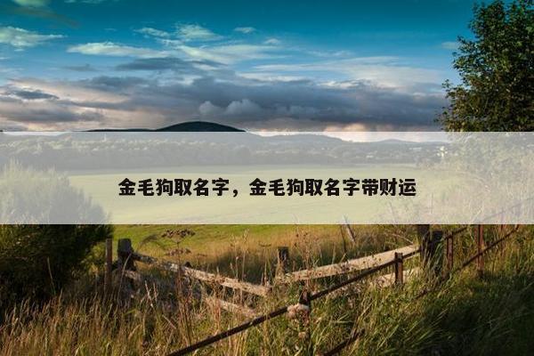 金毛狗取名字，金毛狗取名字带财运