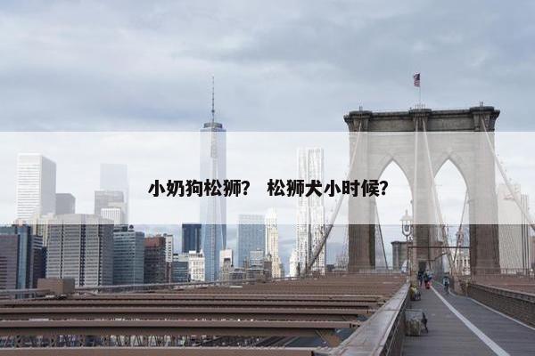 小奶狗松狮？ 松狮犬小时候？