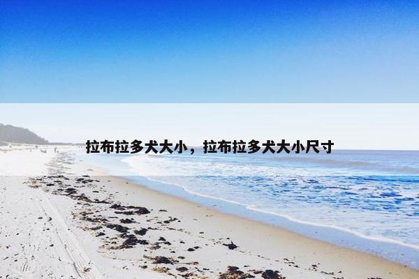 拉布拉多犬大小，拉布拉多犬大小尺寸