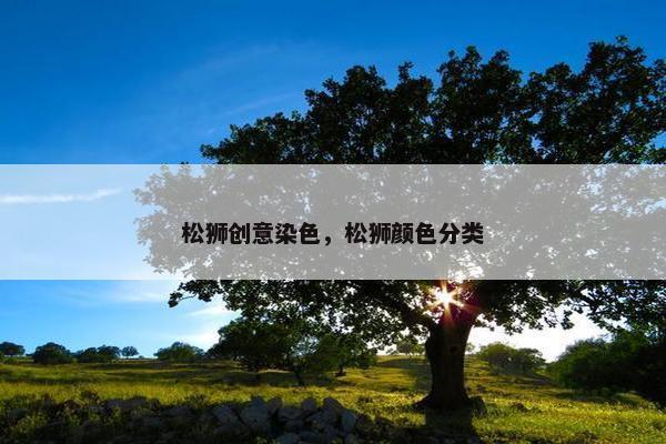 松狮创意染色，松狮颜色分类