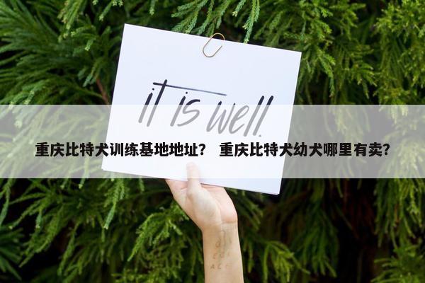 重庆比特犬训练基地地址？ 重庆比特犬幼犬哪里有卖？