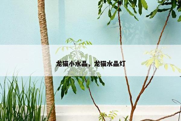 龙猫小水晶，龙猫水晶灯