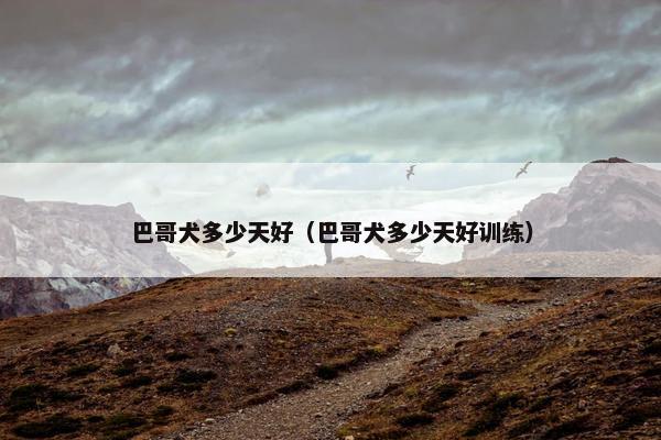 巴哥犬多少天好（巴哥犬多少天好训练）