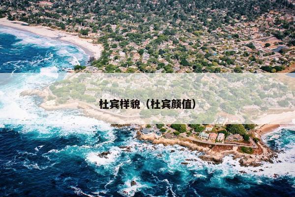杜宾样貌（杜宾颜值）