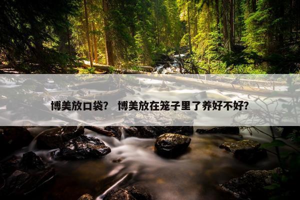 博美放口袋？ 博美放在笼子里了养好不好？