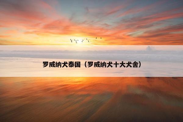 罗威纳犬泰国（罗威纳犬十大犬舍）